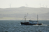 HSC001: Sustainable fishing