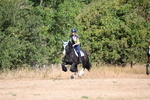 WJ6_7507