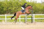 Class 7 - 1.00m portfolio