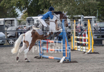 North Showjumping_2016-44