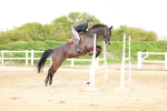 SBM_002623