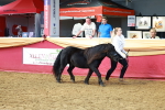 SBM_18434