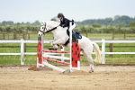 SBM_009284