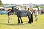 SBM_00737