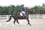 SBM_016145