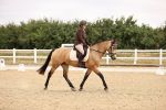 SBM_006434