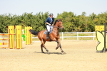 SBM_002282