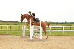 SBM_001645