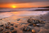 z1963 Washed Ashore, Brook Bay