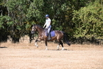 WJ6_7825