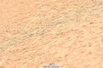 231122A-121826-00326