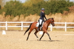 SBM_018491