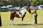 SBM_05447