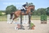 BPP_4736