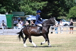 WJ7_3727