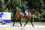 374-ISLANDWOOD_THE_RISING-Sebastian_Roldan_Olivera-WEDTrotUp+DR portfolio