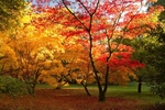 The Fall