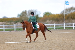 SBM_002601