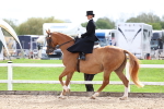 SBM_03449