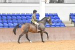 SBM_001564