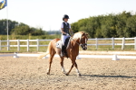 SBM_007712