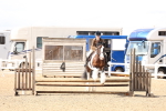 SBM_07331