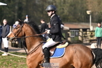 1 British Novice 90cm Open portfolio