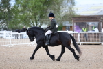 SBM_00281