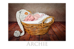 ARCHIE C 3