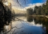 Winter Sunrays