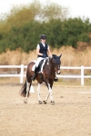 SBM_018698