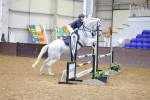 Class 12 - Senior British Novice - 90cm Open portfolio
