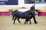 SBM_19719