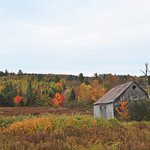 Barn of Yore