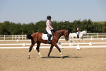SBM_005712