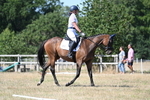 Class 32 Dressage Prelim 2 portfolio