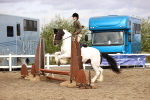 SBM_03540