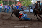 3HRodeo7-12-24_LJD_3HR3558_LJD