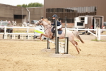 SBM_008152