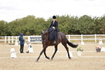 SBM_004919