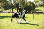 SBM_38967