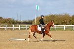 SBM_000975
