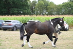 WJ6_6252