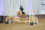 SBM_009228