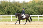 SBM_002964
