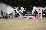 WJ6_1119