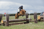 BVHT 140517  NXC -335