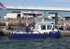 090616 MULTISHIP 800 MANDY IMG_2192