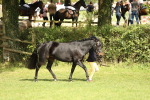 SBM_68516