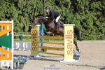 Cls 37 Foxhunter & 1.20m Open portfolio